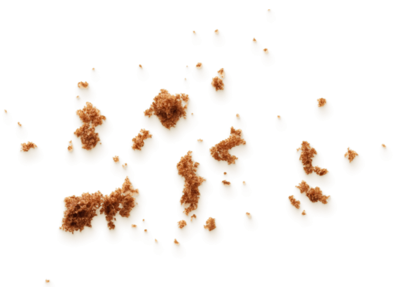 crumbs-2